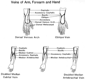 Kesehatan dan Keperawatan: Akses Intravena