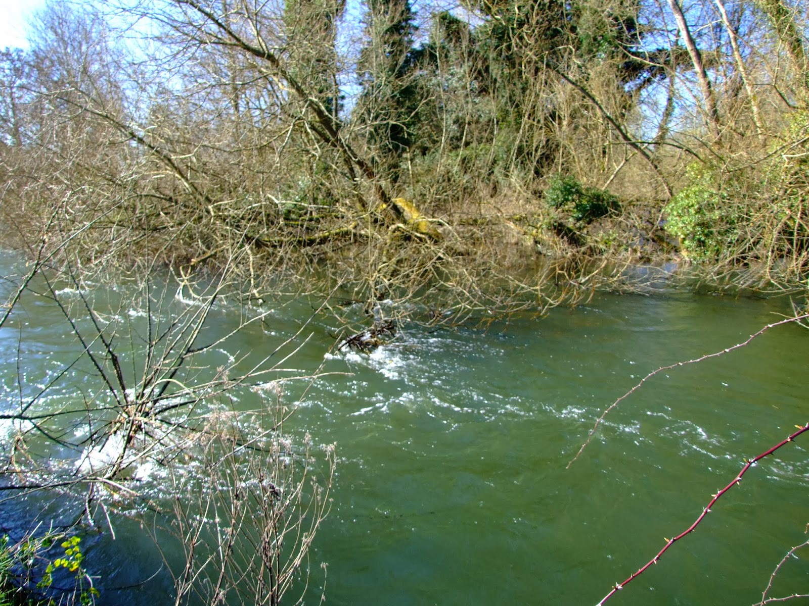Canoeing and Kayaking on The River