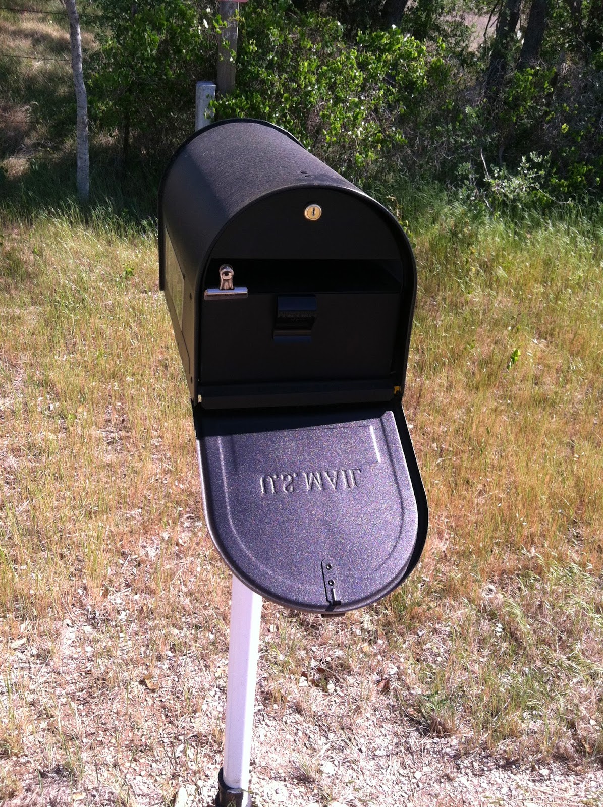 organicgreendoctor more mailbox stories