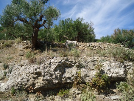 Κατάλοιπα ελαιοτριβείων στην αρχαία Θουρία Μεσσηνίας Κατάλοιπα ελαιοτριβείων στην αρχαία Θουρία Μεσσηνίας