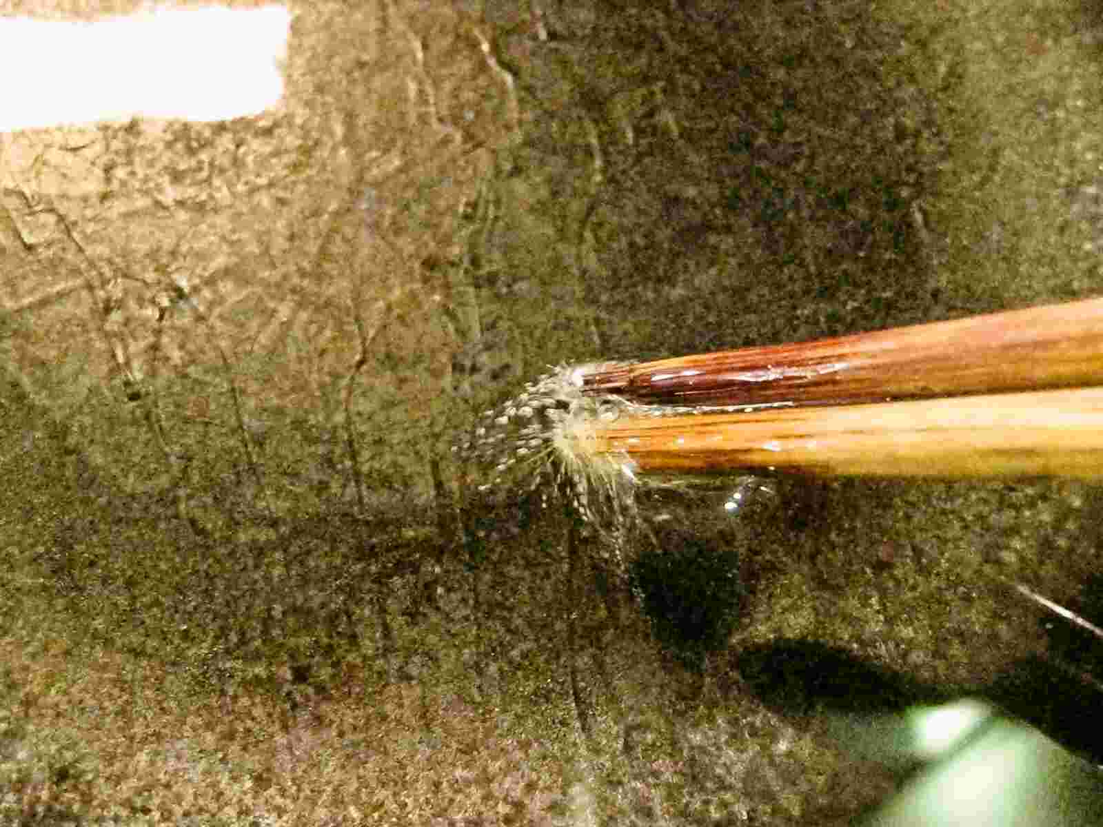 Recipes for Tom Ninjin no happa no tempura / carrot leaf tempura