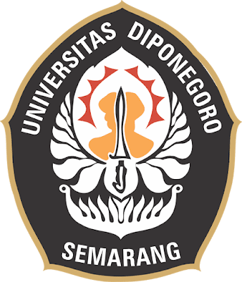 undip undip