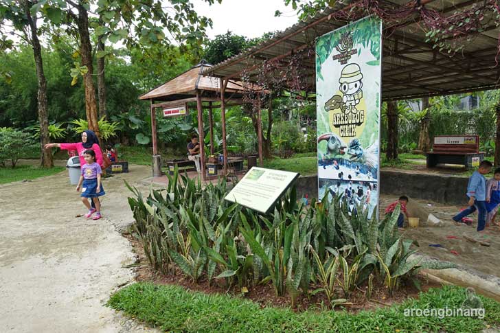 petualangan dinosaurus taman legenda keong emas tmii