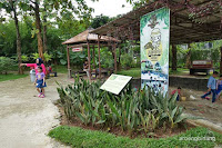 petualangan dinosaurus tmii