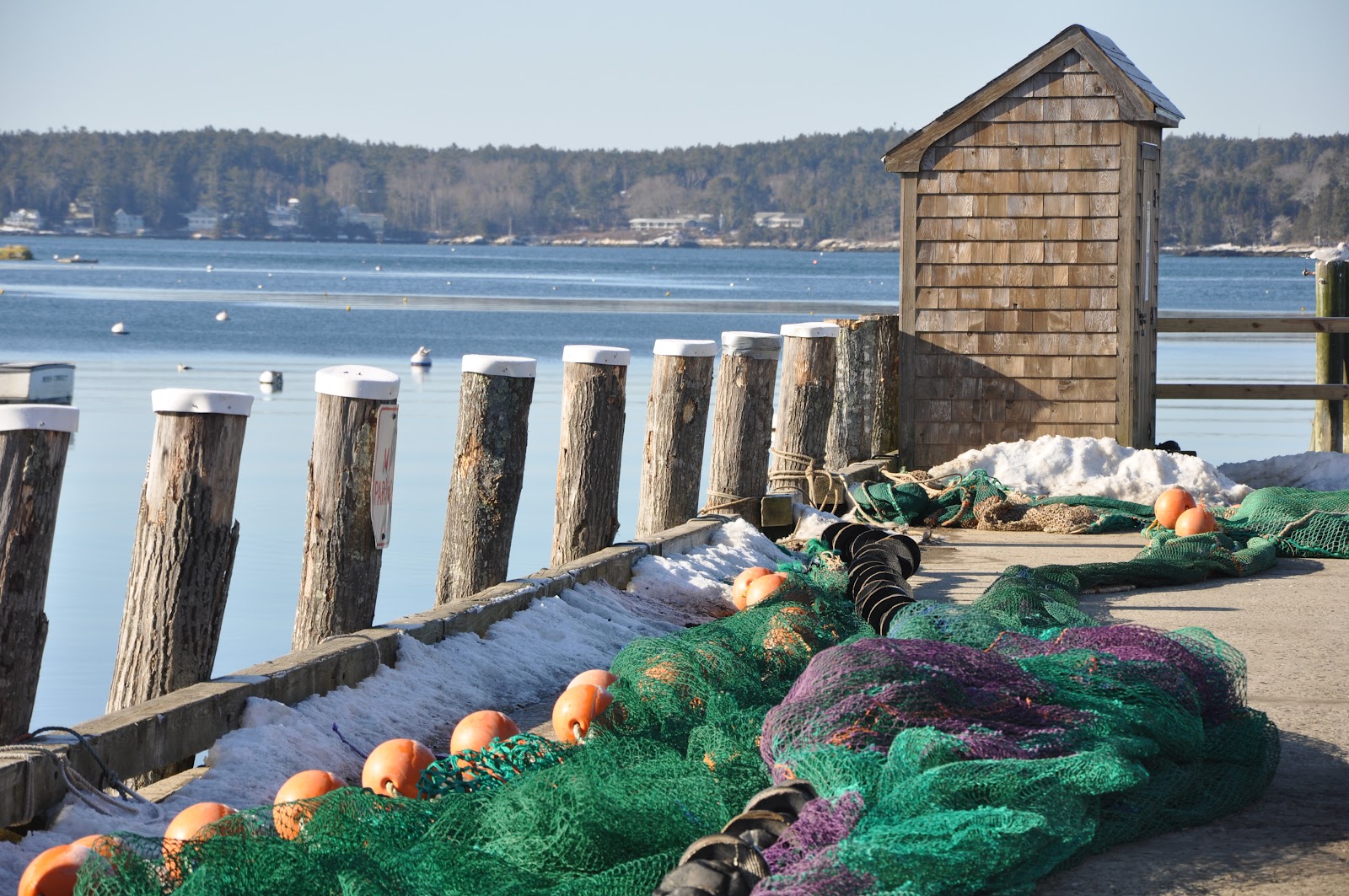 Mackerel Sky Rentals 2017