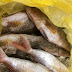 SUAMI ORANG LAIN KIRIM BUNGA BUAT ISTERINYA, TAPI SUAMI SIS KIRIM IKAN DAN SOTONG !