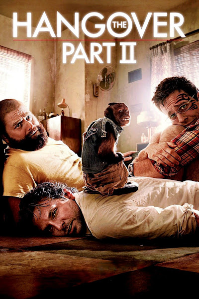 The Hangover Part II (2011) Dual Audio Hindi 350MB BluRay 480p ESubs
