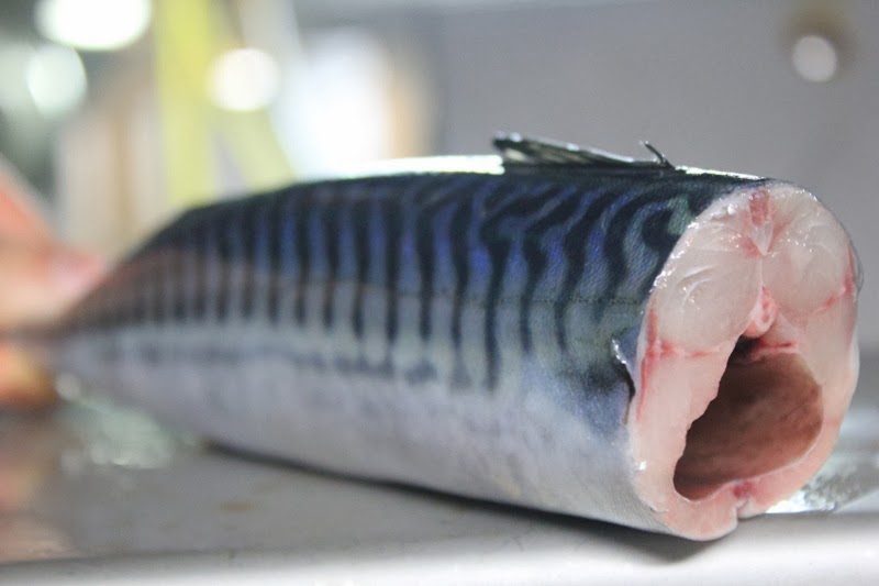 Frozen Sardine HGT Product Availability Frozen Sardine Fish, Frozen