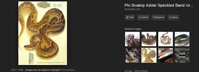 Essay oq eh 05 image