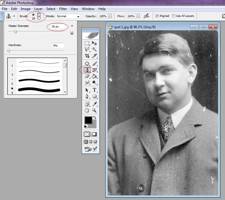 Online Classes for How to remove any spot from picture?