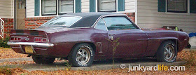 1969 Chevy Camaro found neglected but not for sale. The muscle car soon disappeared.