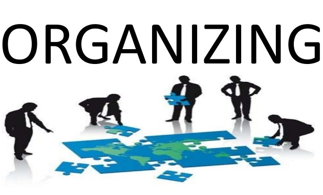 case study on organizing function of management