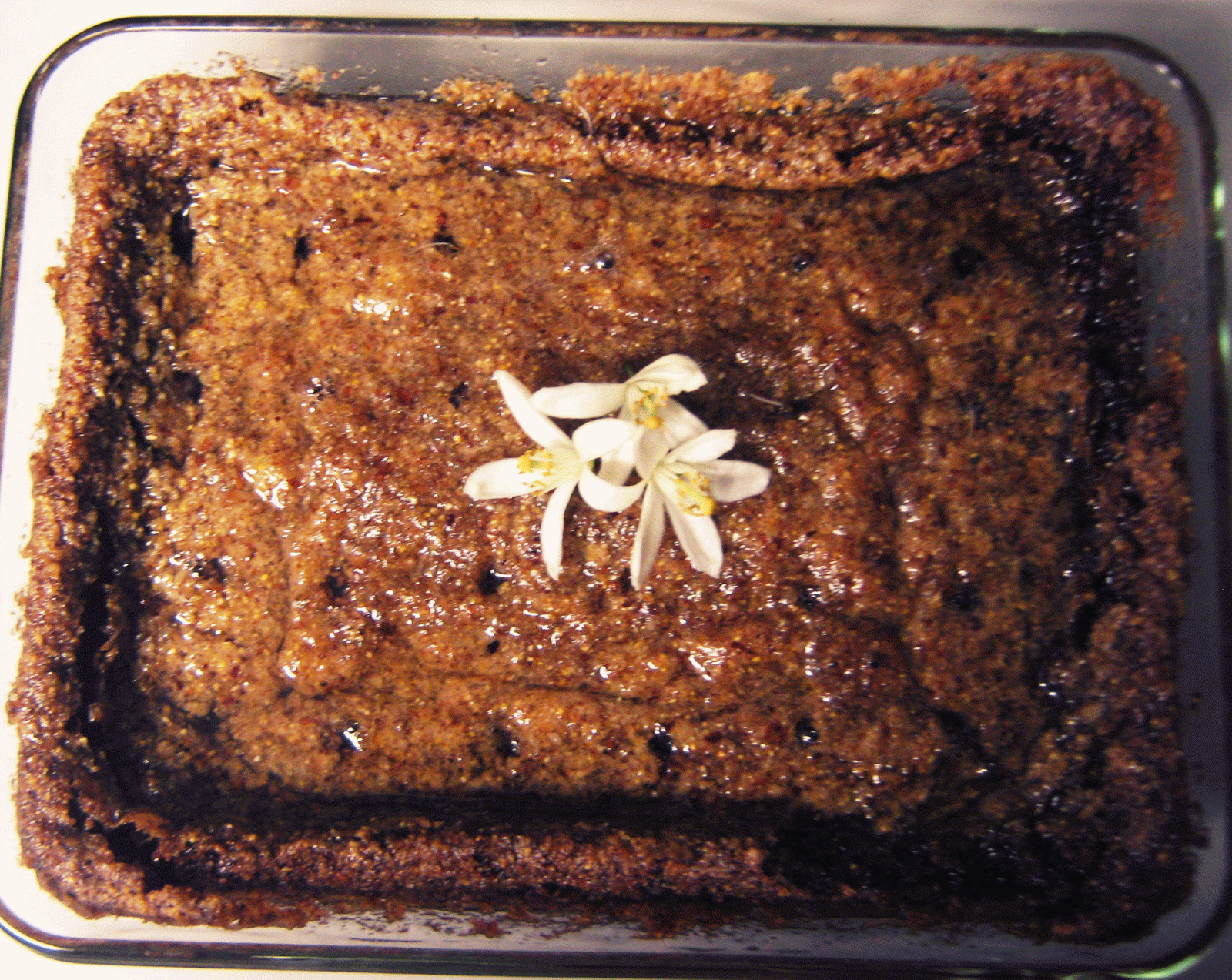 sherkhanchan Satsuma Blossom Polenta Cornbread Cake