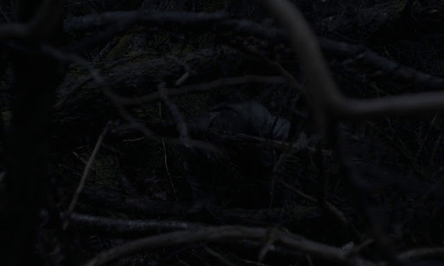 Splited 200mb Resumable Download Link For Movie The Witch 2015 Download And Watch Online For Free Splited 200mb Resumable Download Link For Movie The Witch 2015 Download And Watch Online For Free