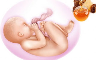 Mật ong tốt cho thai nhi
