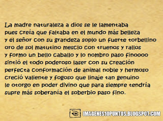 poemas de caballos poemas de caballos