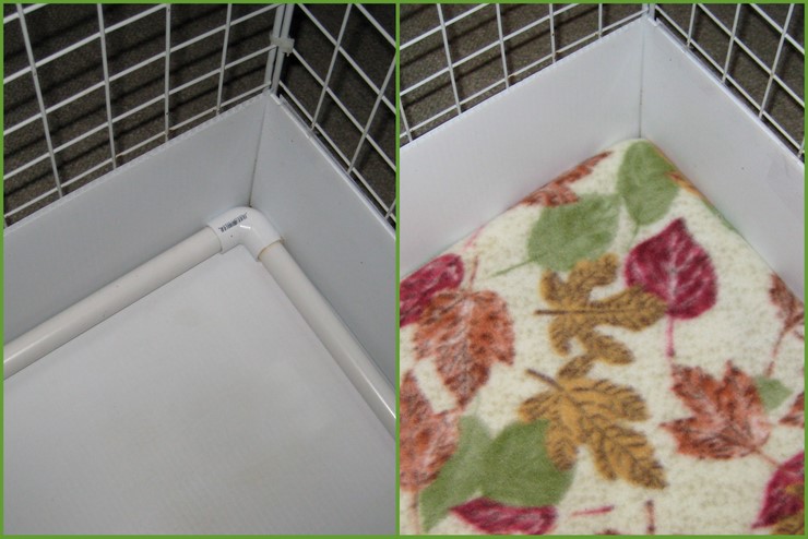 pvc pipe guinea pig cage