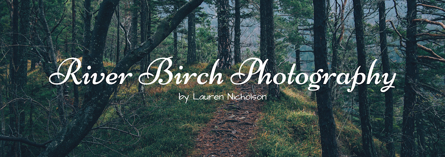 River Birch Photography