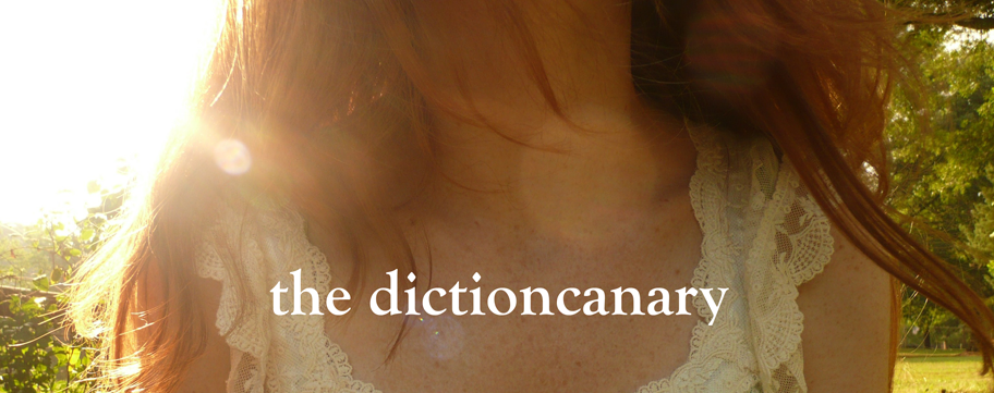 the dictioncanary