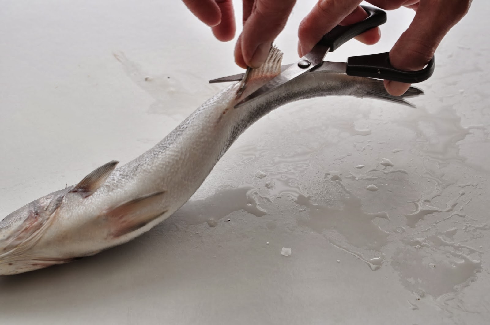 Simple Food: Sea Bass, How to Prepare For Pan Frying