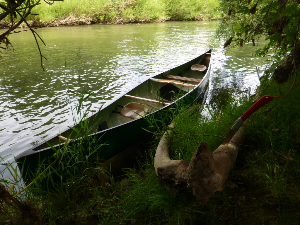 P A D D E L B L O G: Kirschholz