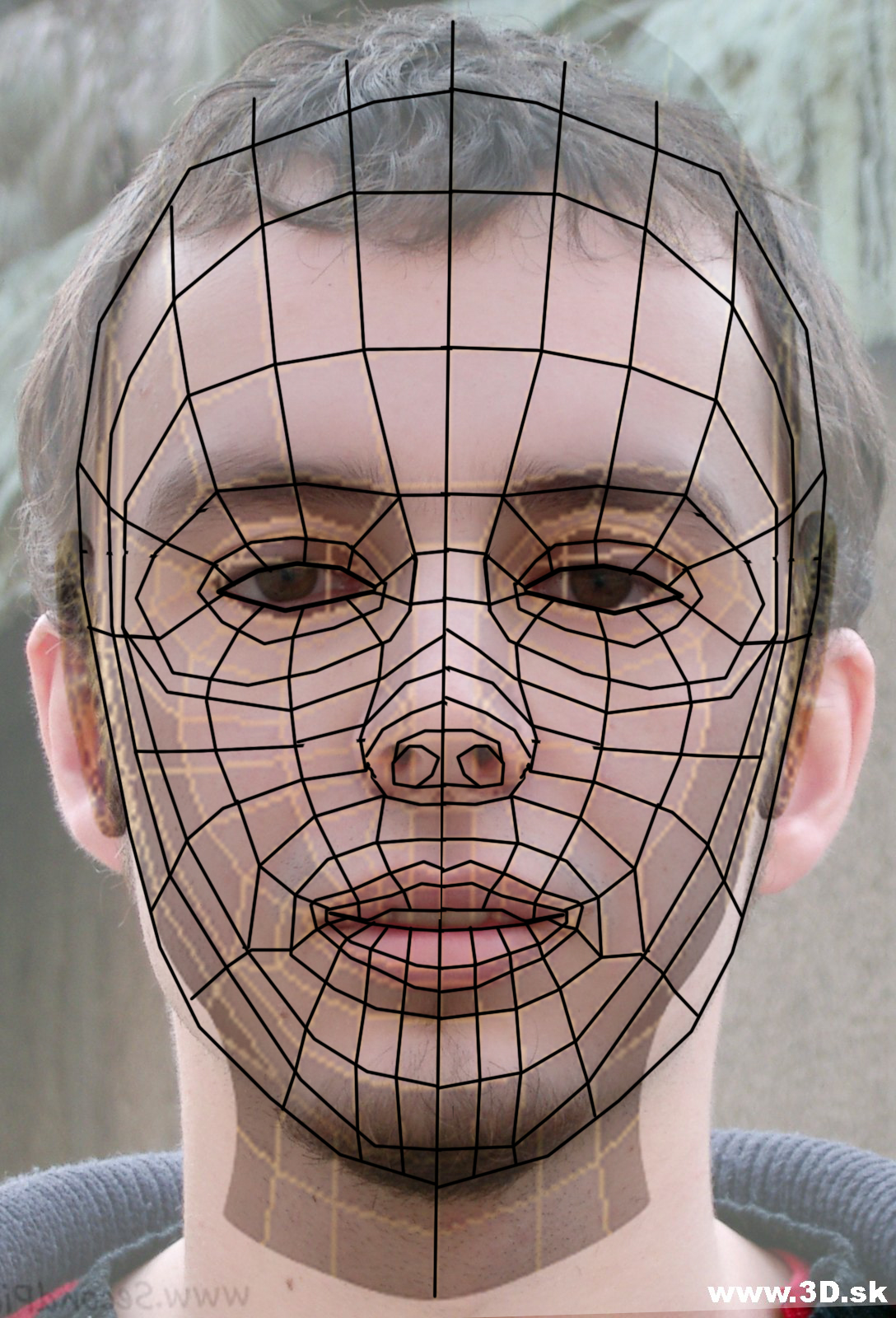 Alan-Taylor-DD1133: Face Modelling