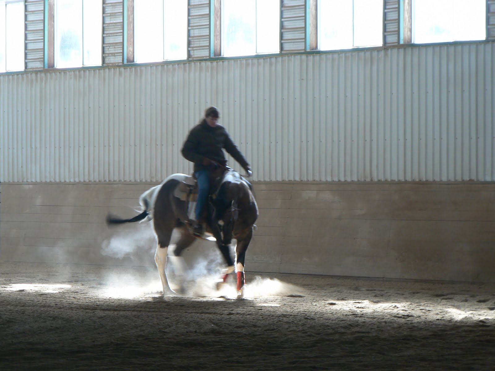 100 Mile Sliders Reining Club Problems With Reining Horse Training Few
