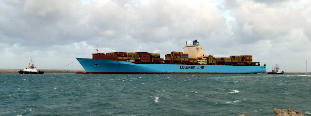 Maersk Line container ship Baltimore (IMO 9313917), tugboats Fratelli Neri (IMO 9393125), Tito Neri (IMO 9319167), Livotno