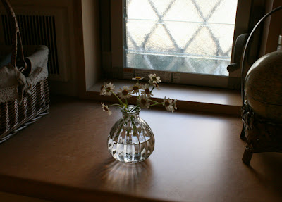 カモミール花瓶