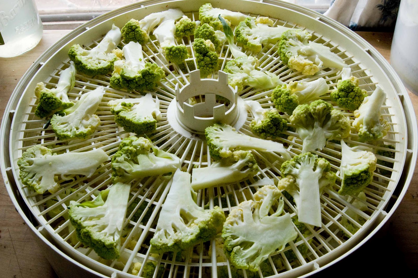Dehydrating Way Beyond Jerky Dehydrating Leftover Broccoli
