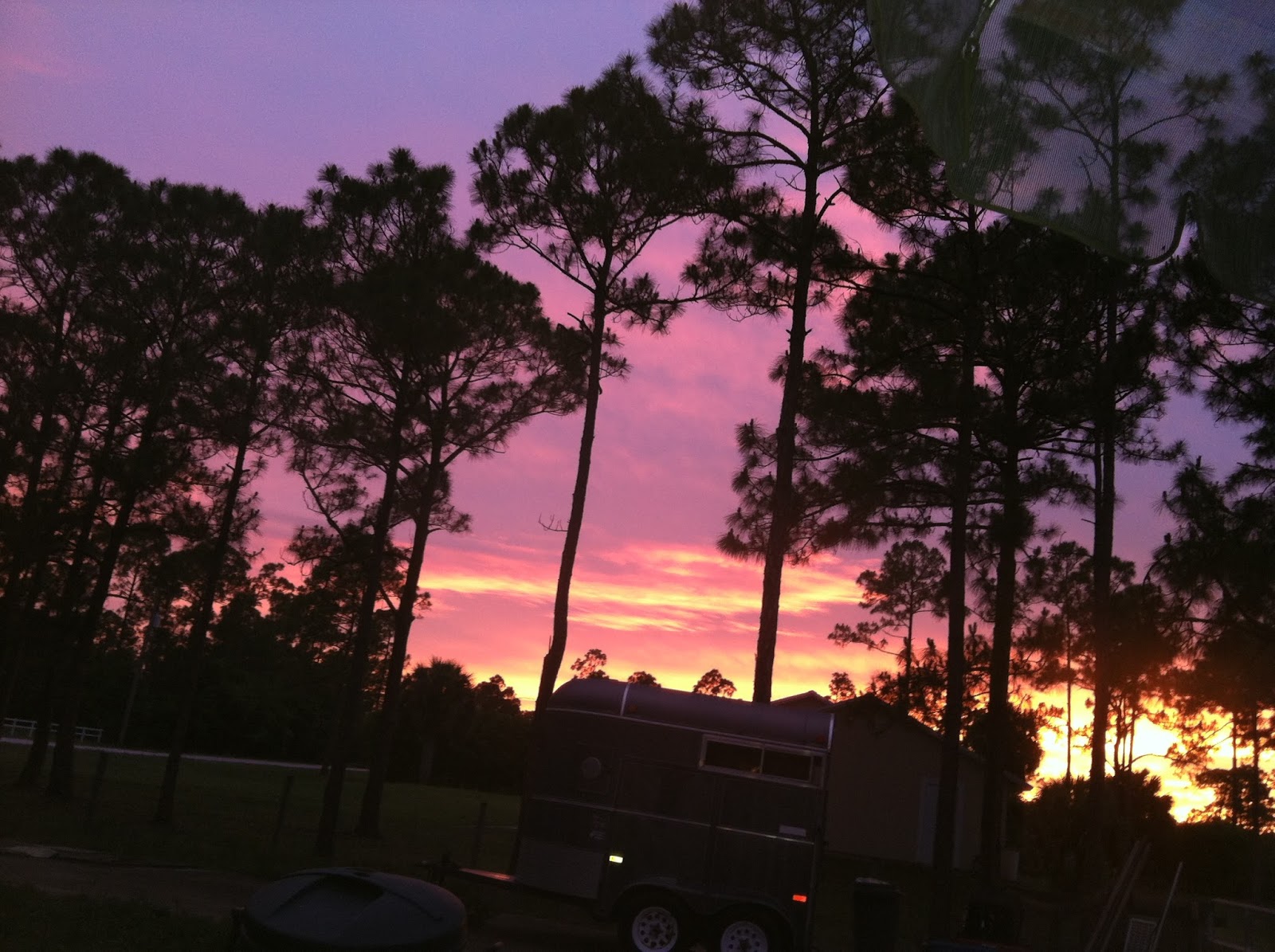 GOODNESS!GRACIOUS ACRES Fireworks and Livestock