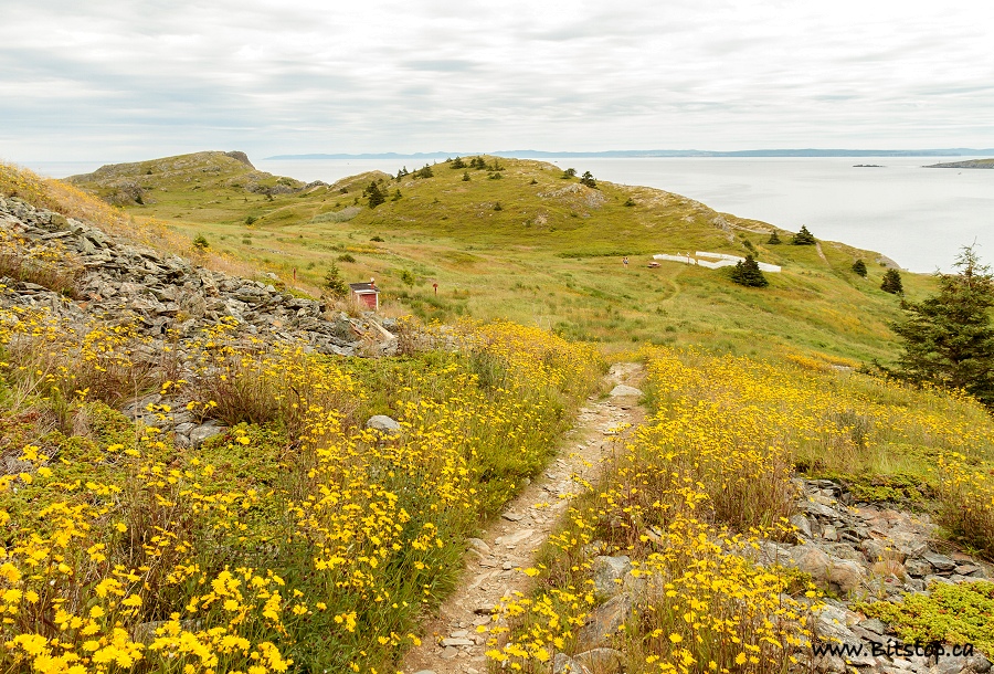 Bitstop Shoreline Heritage Walk, Bay Roberts Bitstop Shoreline Heritage Walk, Bay Roberts