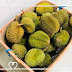 Makan Santai Durian Pelbagai Jenis Di Pejabat Bersama Rakan Sekerja 