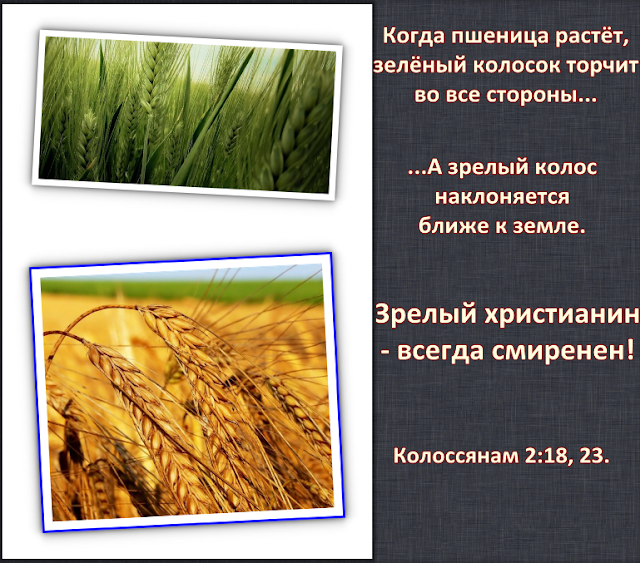 результат вашего мышления результат вашего мышления