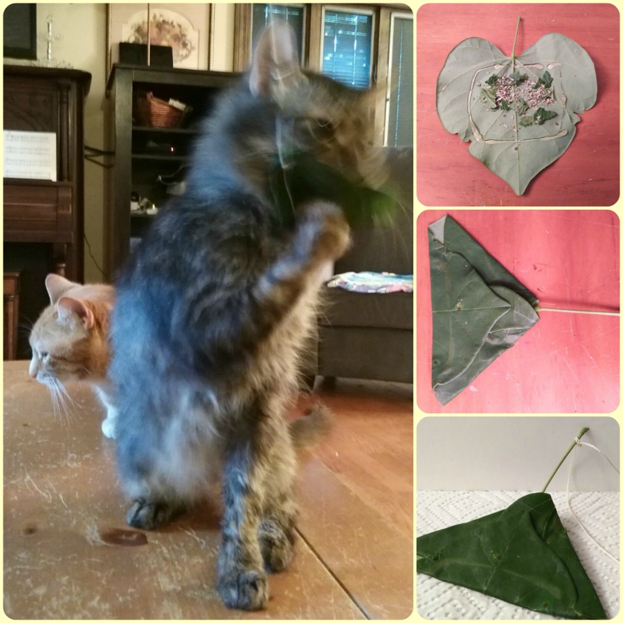 Cat Toys DIY Ideas for Homemade Fun Adventures of Kids Creative Chaos