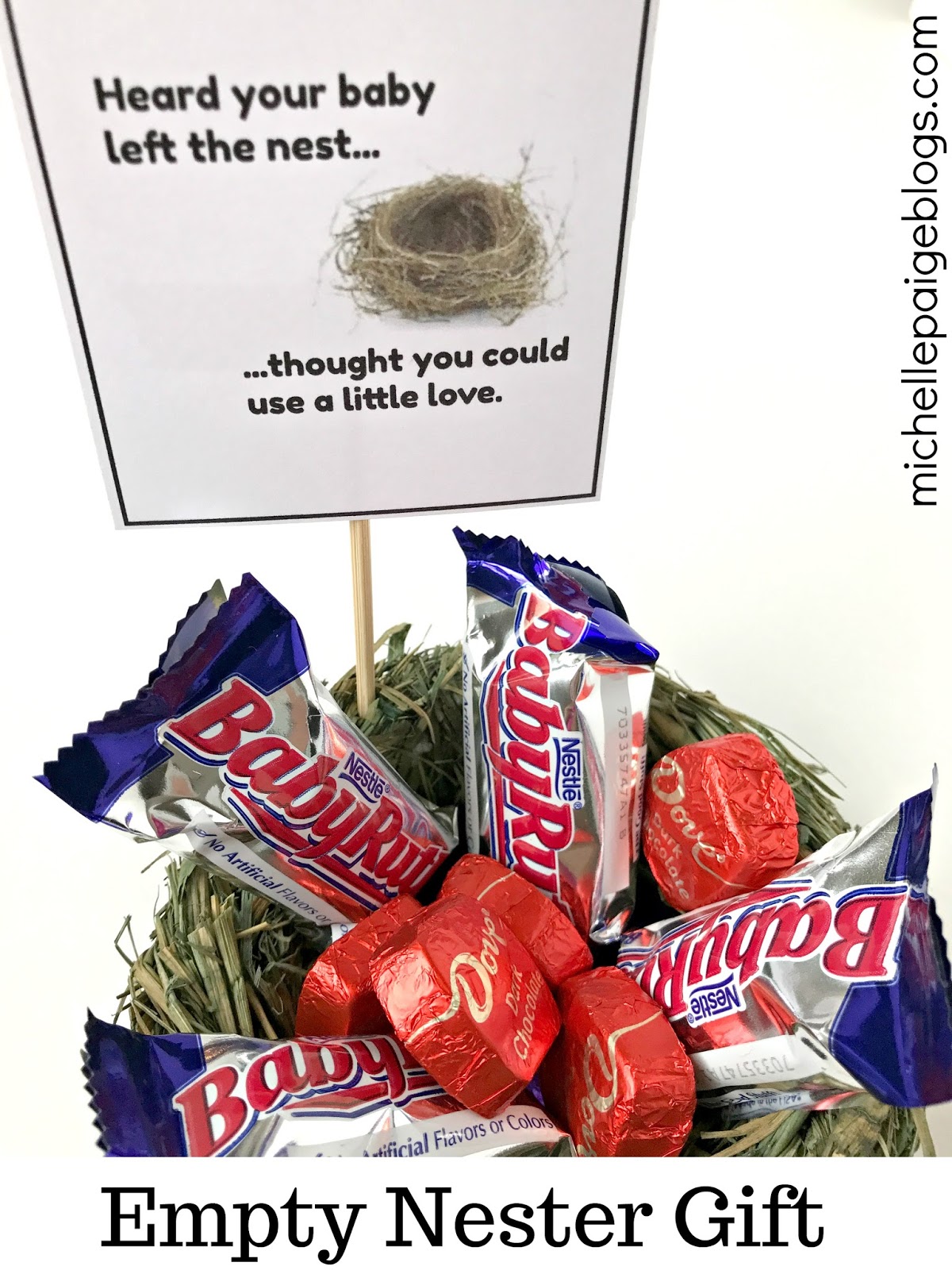 michelle paige blogs Empty Nester Gift