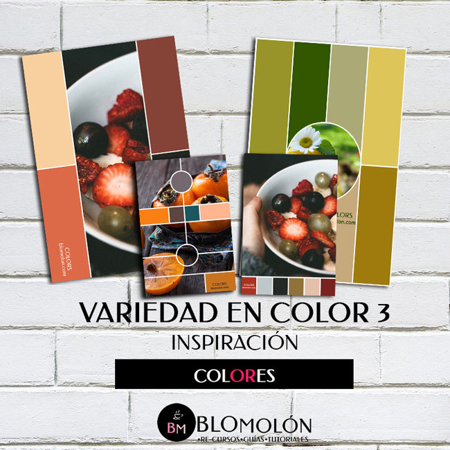 variedad en color 3 variedad_en_color_3