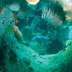 Cryptic fish, species in preservation of reefs