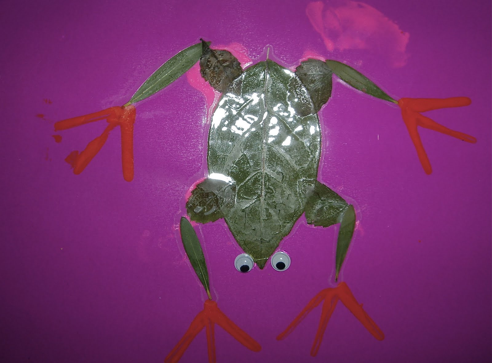 Use Your Coloured Pencils: Green Tree Frogs