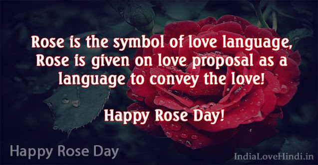 Happy Rose Day Wishes Images rose day images, rose day greeting cards, rose day wallpaper, rose day hd photos, rose day images download, rose day images for girlfriend, rose day quotes with images, rose day images for boyfriend, rose day images for wife, rose day images for husband, valentine week spacial images for crush
