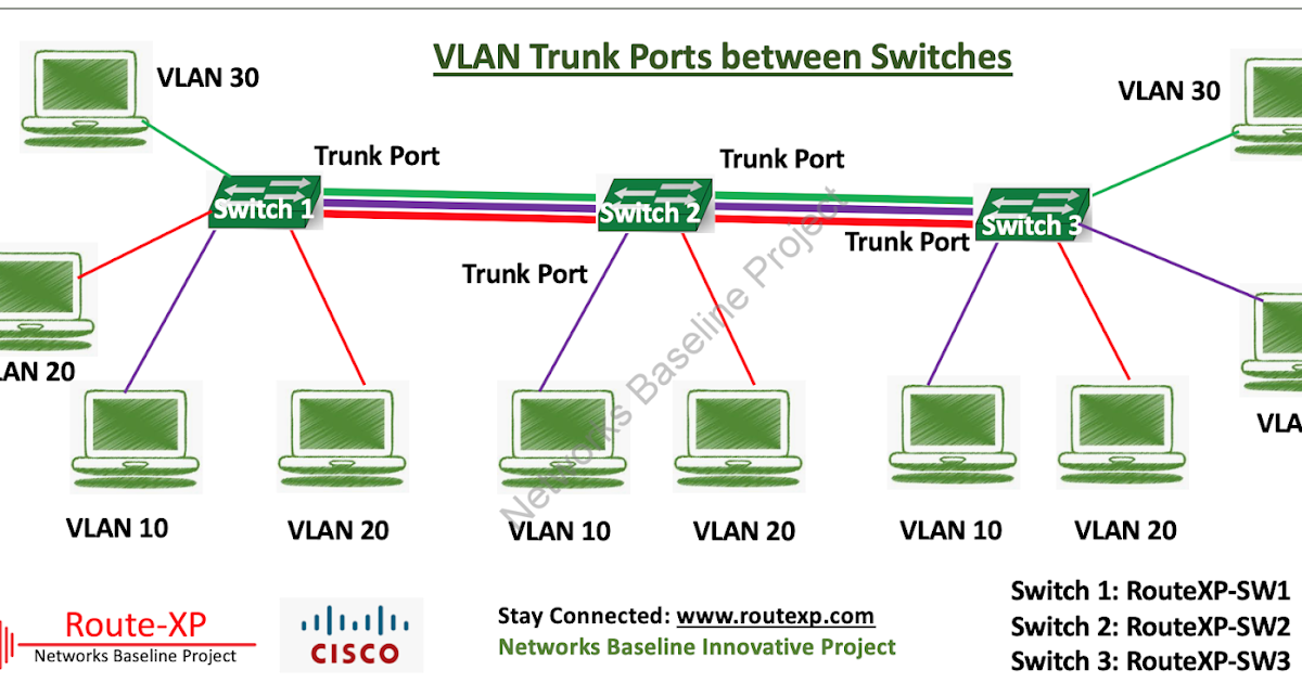 Cisco CCNA Basics III VLAN Trunk Ports Route XP Private Network Services