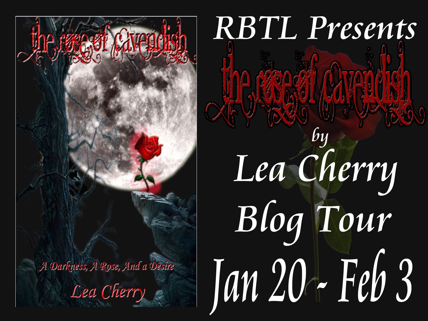 Cajun Book Lover The Rose of Cavendish