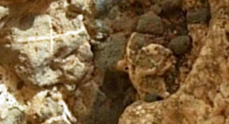 Identical Rocks on Mars? You Will Be Surprised!