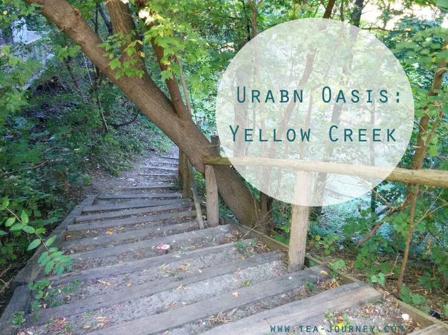 Urban Oasis: Yellow Creek at St.Clair East toronto nature images collection balance peace connection