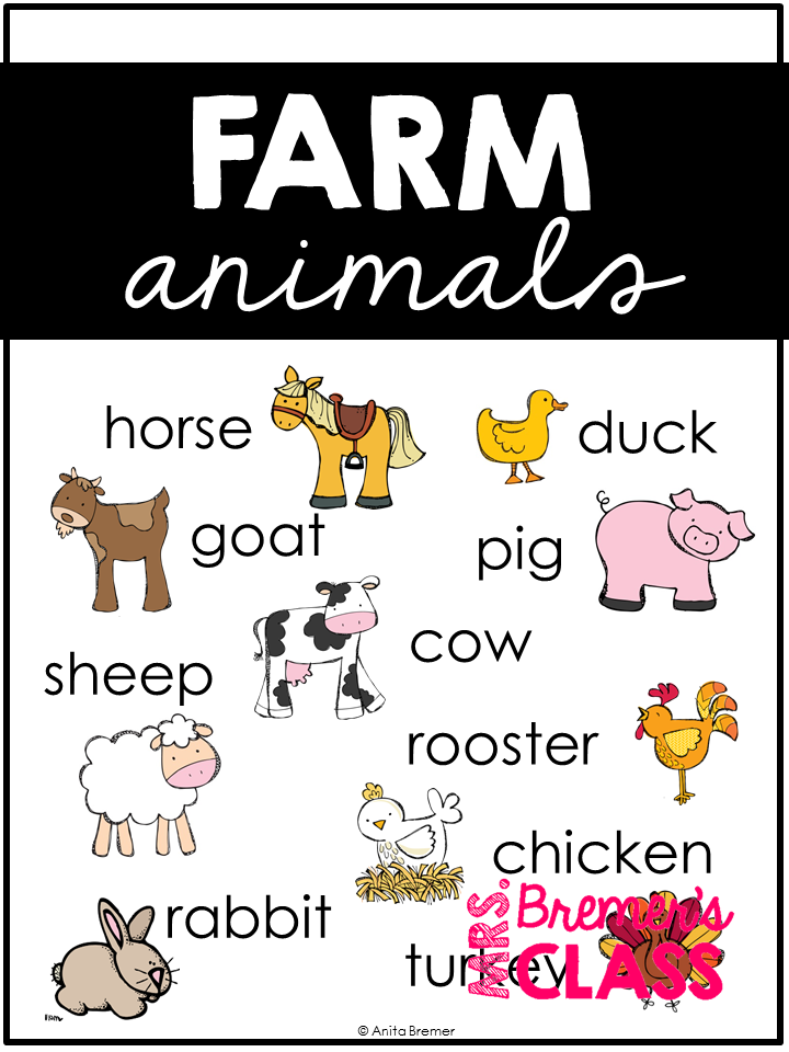 Animal Research Projects for ANY animal | Mrs. Bremer's Class