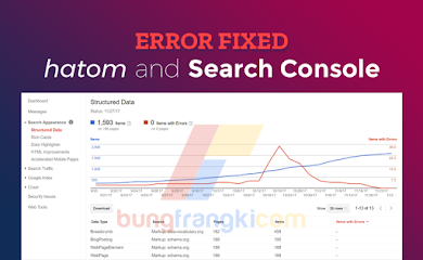Mengatasi Error Missing Author dan Updated pada Webmaster Tool Search Console