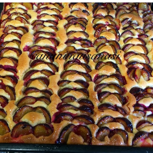 Erikli Pasta cananınguşanası
