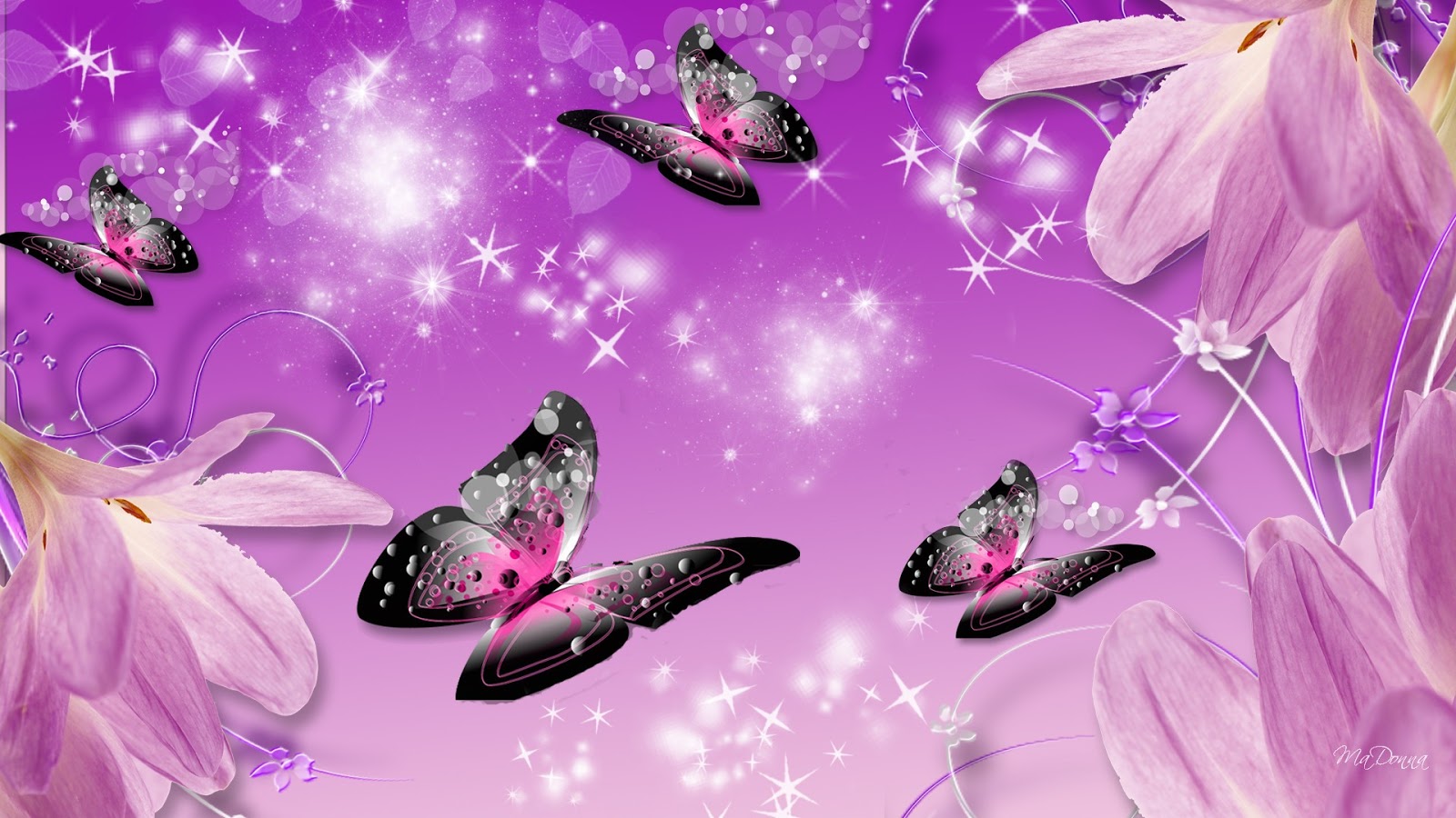 Wallpapers with Butterflies 8