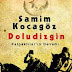 Doludizgin