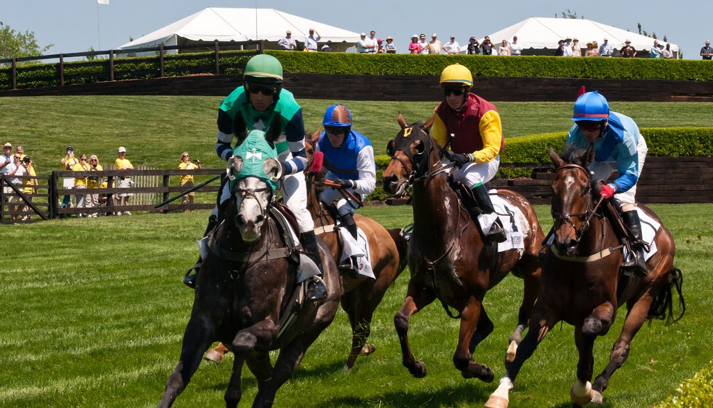 Shenandoah River, Blue Riidge Mountains and Northern Virginia Horse ...